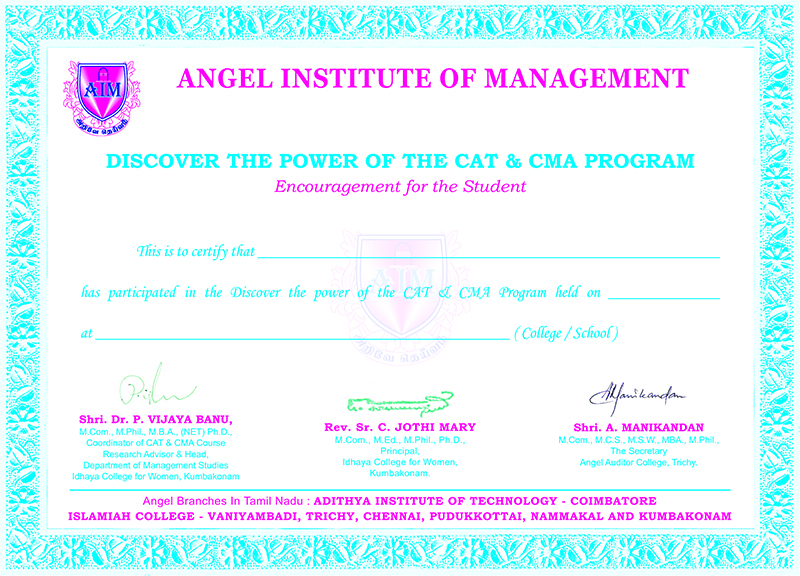 Angel Auditor College