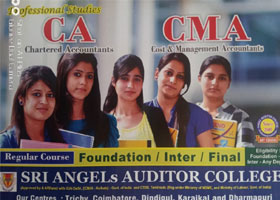 Angel Auditor College