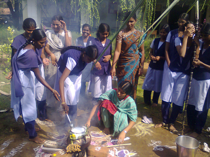 Angel Auditor College