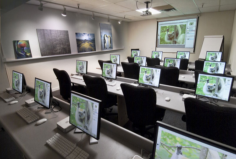 Angel Auditor College